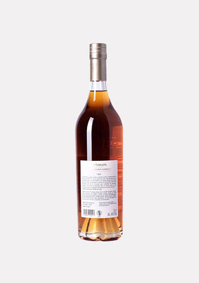 Delamain Vintage 1995 Grande Champagne Cognac